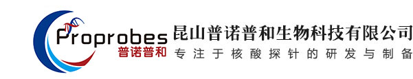 DNA合成_RNA合成_OLIGO_引物合成_核酸_昆山普諾普和生物科技有限公司